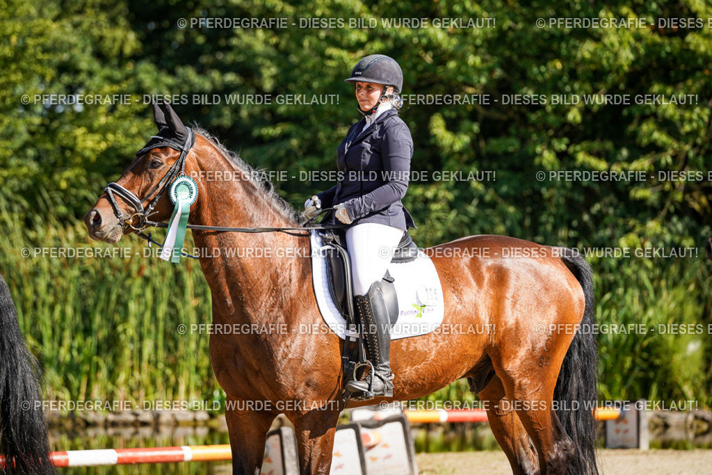 DSC00280 | Pferdegrafie