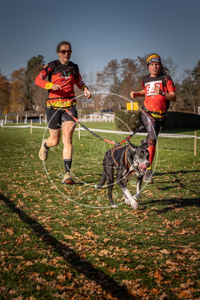 CaniXpix_0L8A7160 | Hundefotografie, Tierfotograf, Pfotenfotografie, Fotoshooting Hund, Hunde Portrait, Hundesport, Hundeportraits, Heideshooting, Hunde, Sportfotograf, Hundefotograf, Turnierhundsport, THS,  - Realisiert mit Pictrs.com