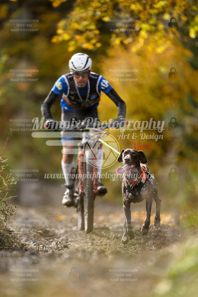 MompixPhotography_ICF_WC_2024_SA_Bike_-293 | PayLife