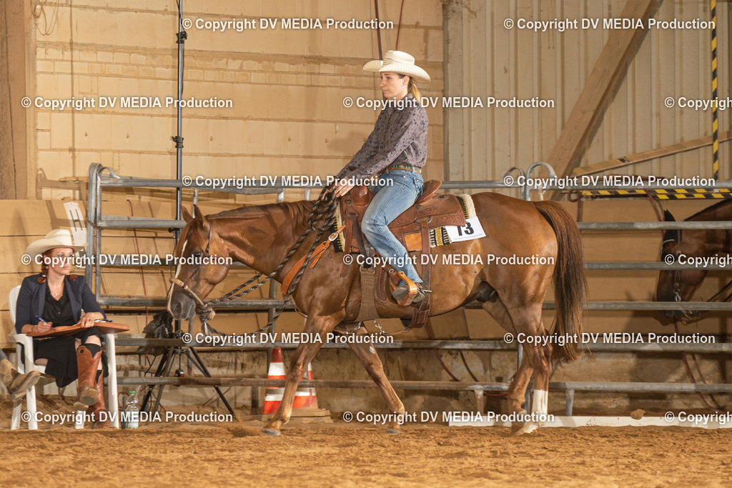 NID01466 | dv-media-shop - Realisiert mit Pictrs.com