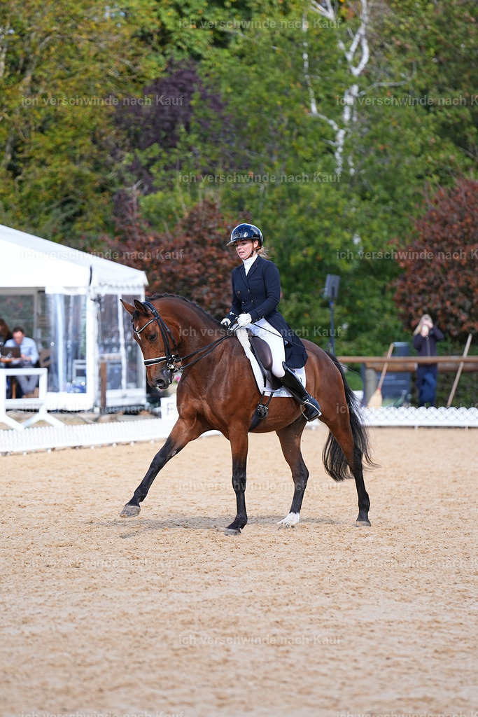 09_2-001-DRESSUR  S_  -Marixx-5957 | working equitationturnier fotograf videograf stoibphotography marixx film working equitation deutschland reitsport turnierfotografie eventfotografie equestrian events