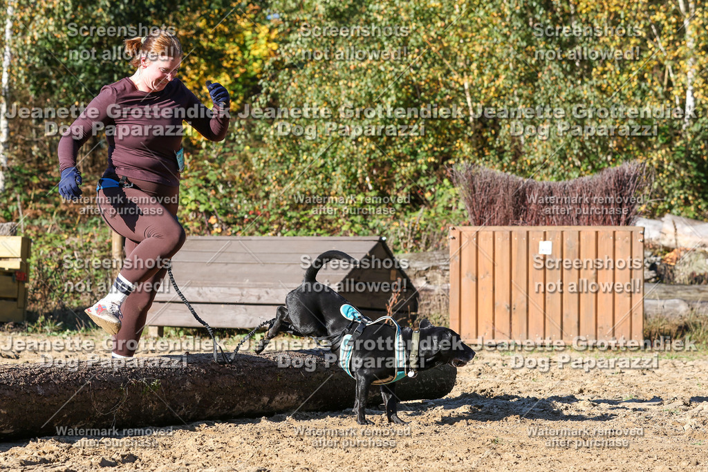 Dog Paparazzi - Strongdog 10-25-2069 | Dog Paparazzi Jeanette Grottendiek Fotografie & Videografie - Realisiert mit Pictrs.com