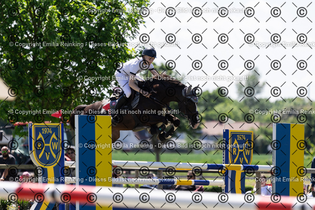 CL5A1124 | Emilia Reinking Fotografie - Realisiert mit Pictrs.com