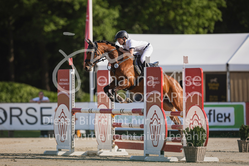 250501_MünsterHandorf_PonyTrophy-223 | Deine schönsten Turniermomente als professionelle Fotos! Entdecke hochwertige Pferdesport-Fotografie im Online-Shop. Jetzt Fotos finden & bestellen!