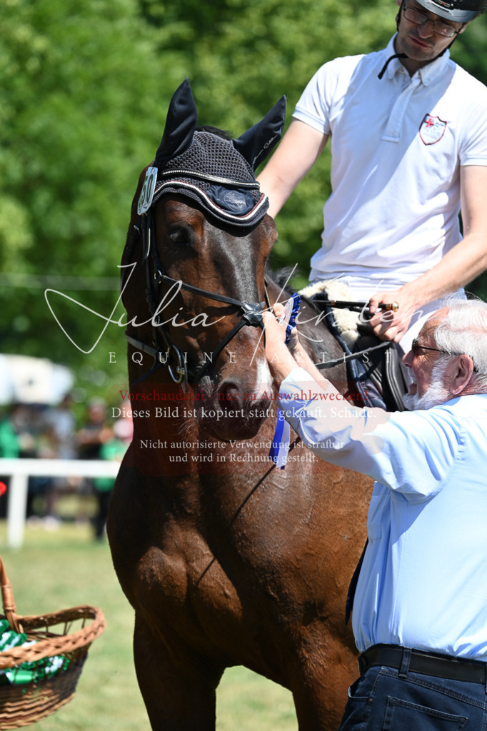 DSC_0885 | Pferde- und Turnierfotografie in Westsachsen. Pferdeportraits, Auftragszeichnungen und intuitive Kunst.