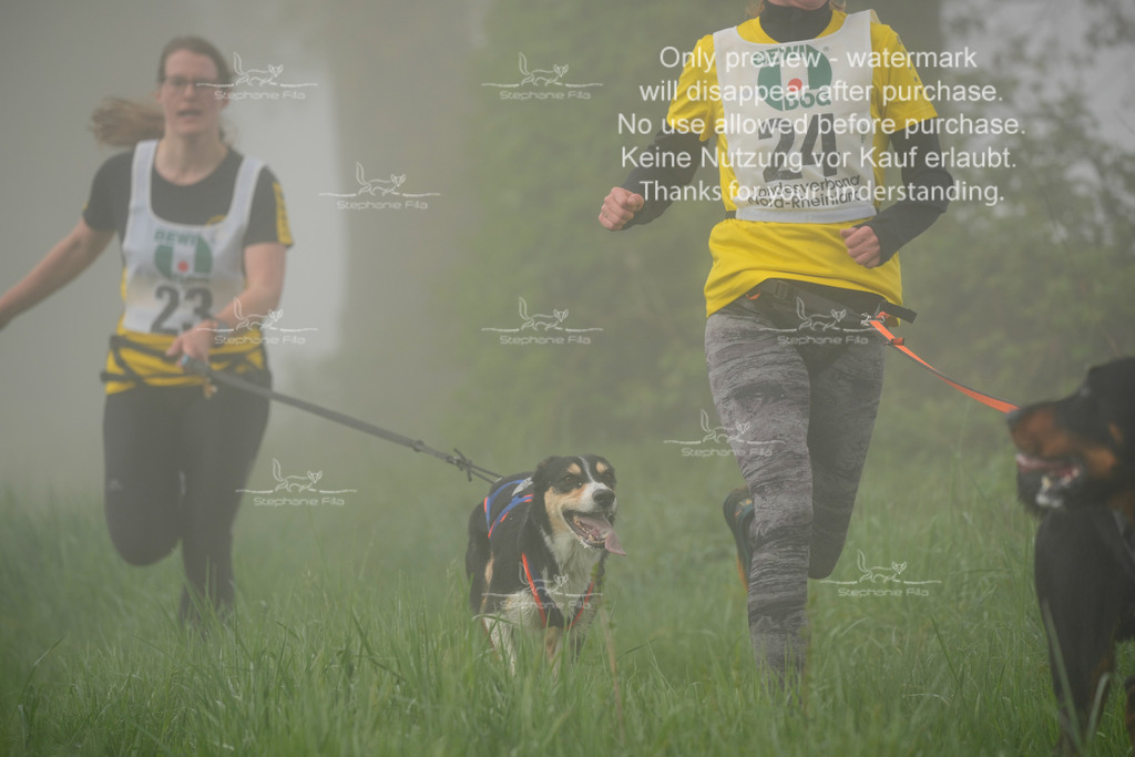 SA_GL2-127 | stephaniefillaphotographie - Realisiert mit Pictrs.com