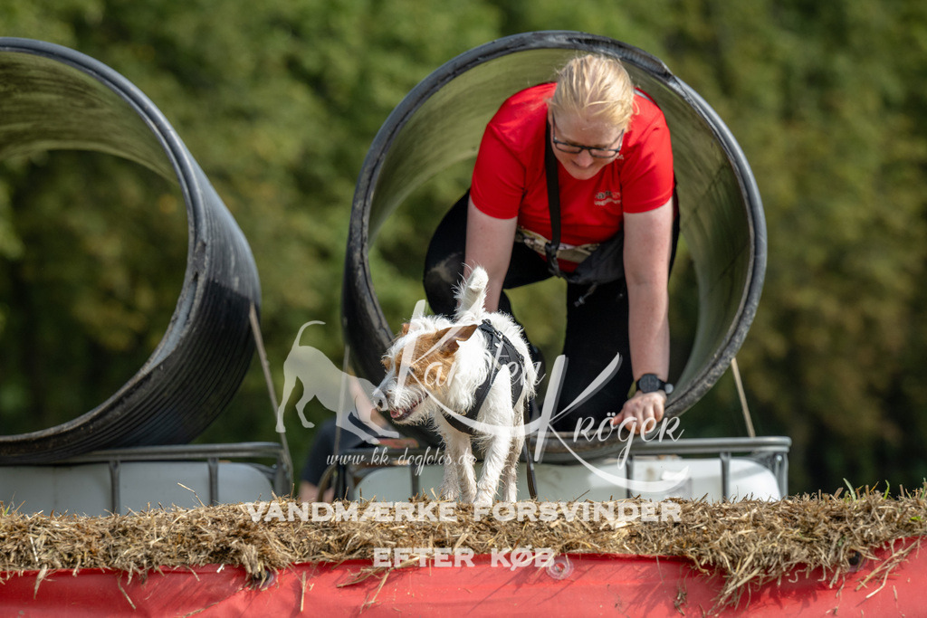 1145_ZZ90228 | kk-dogfotos