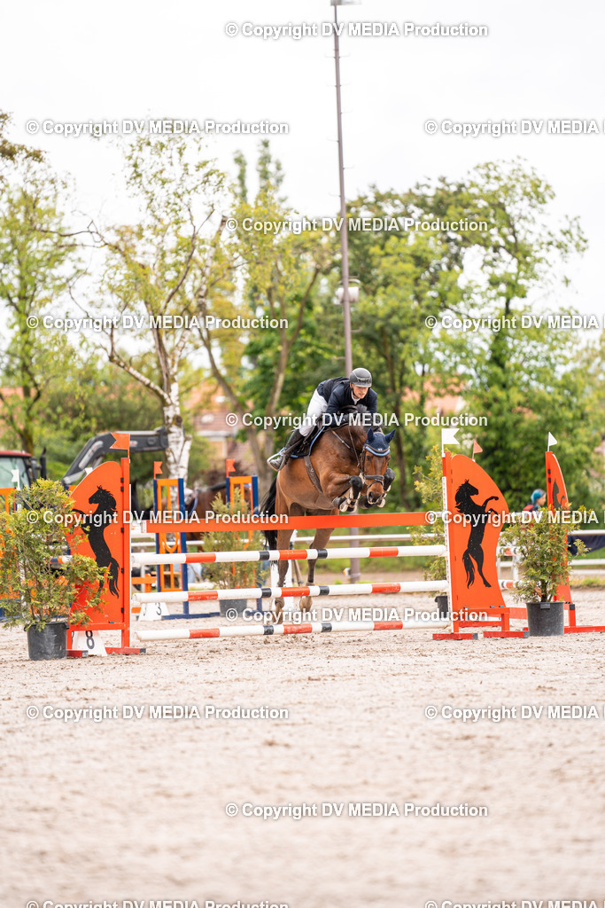 Eppelheim Tag 3-35 | dv-media-shop - Realisiert mit Pictrs.com