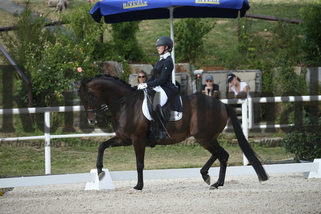 Birkhof_2022_GrandPrixSpecial_Nicole Isser_DiCaprio 4 (14) | Alle Fotos der Reiterjournal Fotografin Doris Matthaes im Reiterjournal Online-Fotoshop. - Realisiert mit Pictrs.com