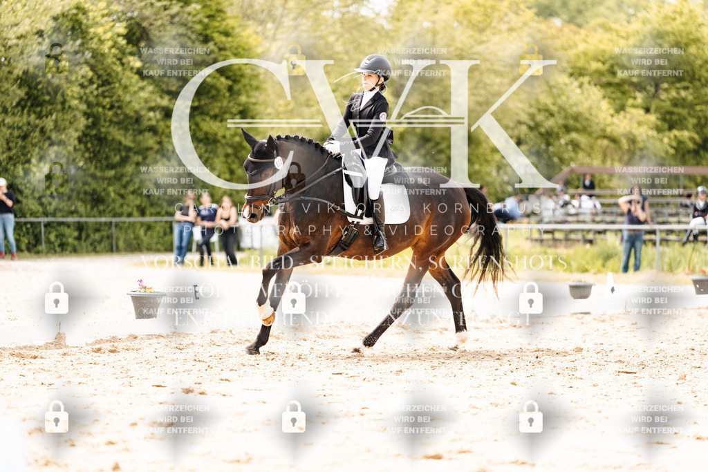 CK902541 | Turnierfotografie Pferdefotografie Trier Rheinland-Pfalz Pferdesport Reitsport Tierfotografie Sportfotografie Pferdevideo Pferdevideografie Equestrianvideography equestrianphotography  - Realisiert mit Pictrs.com