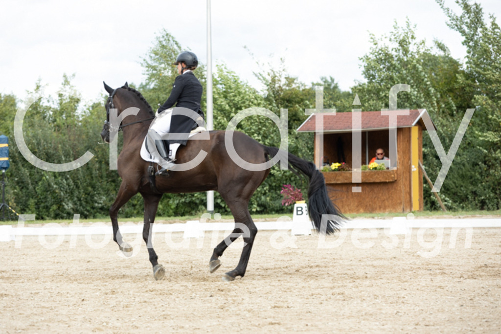 IMG_6869 | Creatify Fotografie