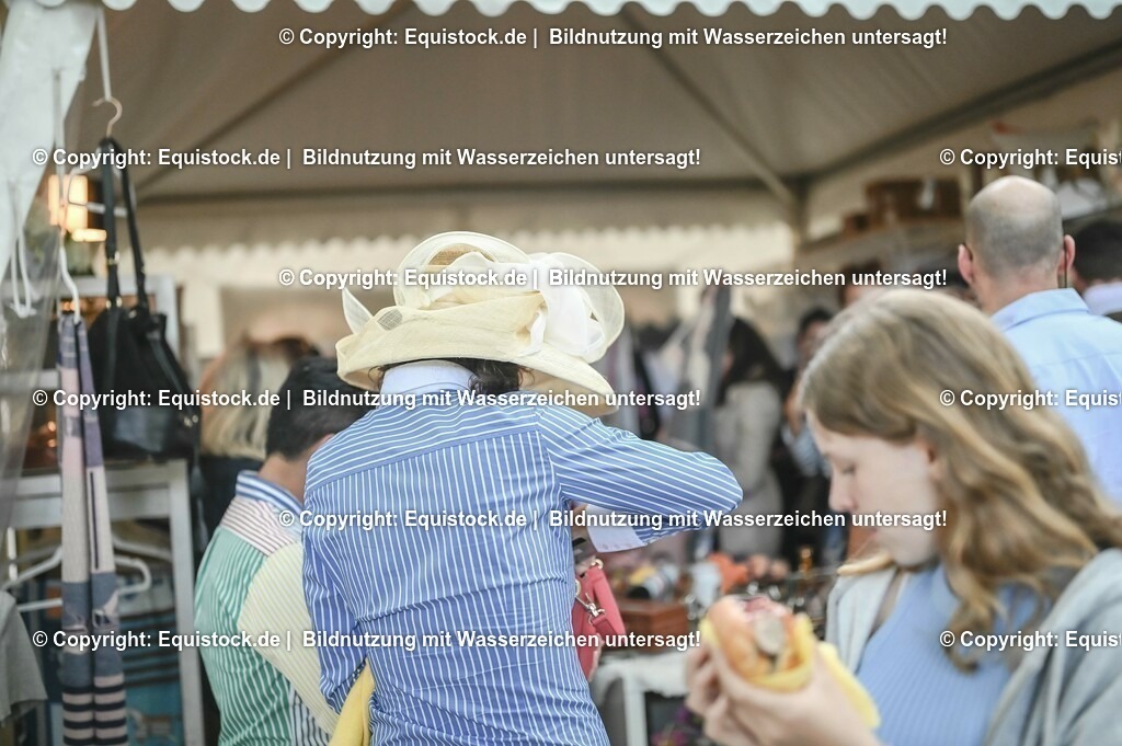 D78_3815 | equistock