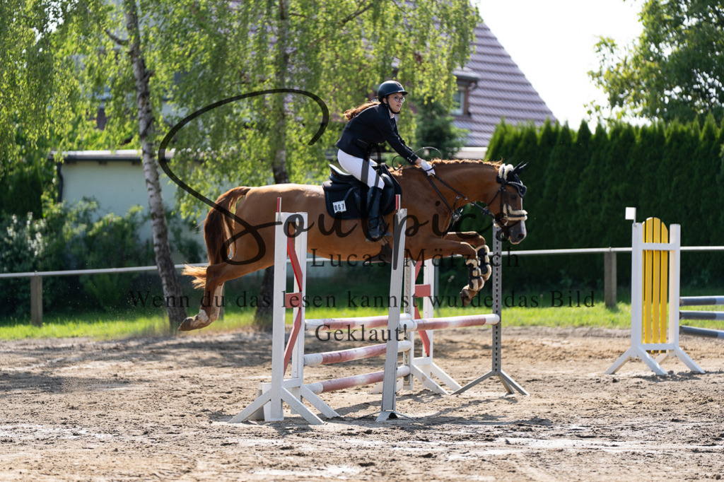 A7507345 | Turnier/Reitfotograf