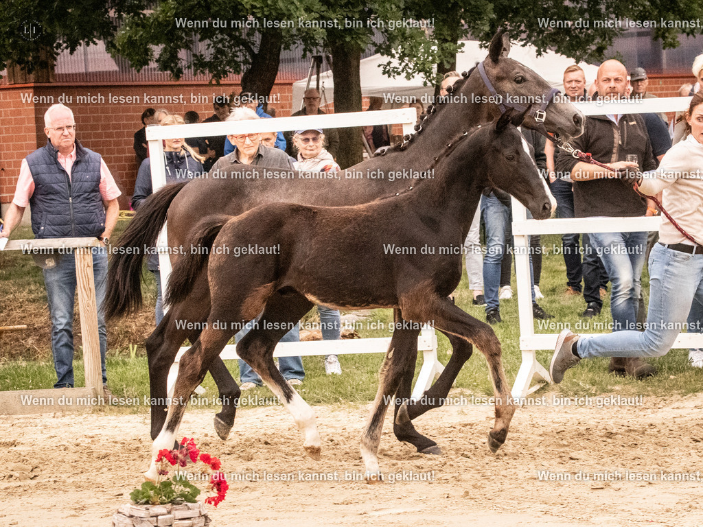 A10I1648 | photographylinaismer - Realisiert mit Pictrs.com