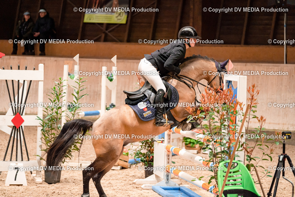 Springen Tag 1-190 | dv-media-shop - Realisiert mit Pictrs.com