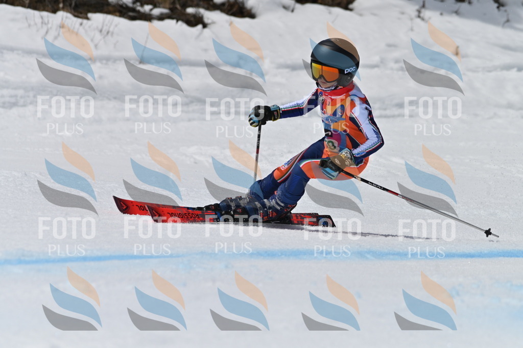 BGV_6731 | holidayphoto