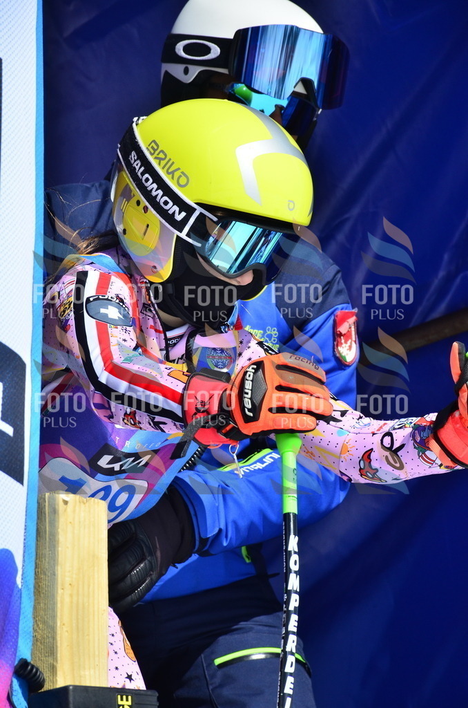 _ELE0888 | holidayphoto