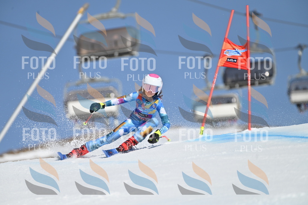 BGV_8897 | holidayphoto