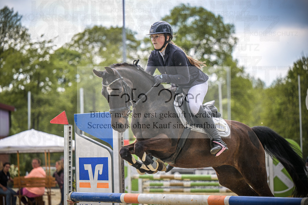 DOS_1310 | Entdecke hochwertige Reitturnierfotos von Foto Oger. Professionell, emotional und authentisch – jetzt Lieblingsmomente im Shop bestellen.Deutschlandweite Turnierfotografie. - Realisiert mit Pictrs.com
