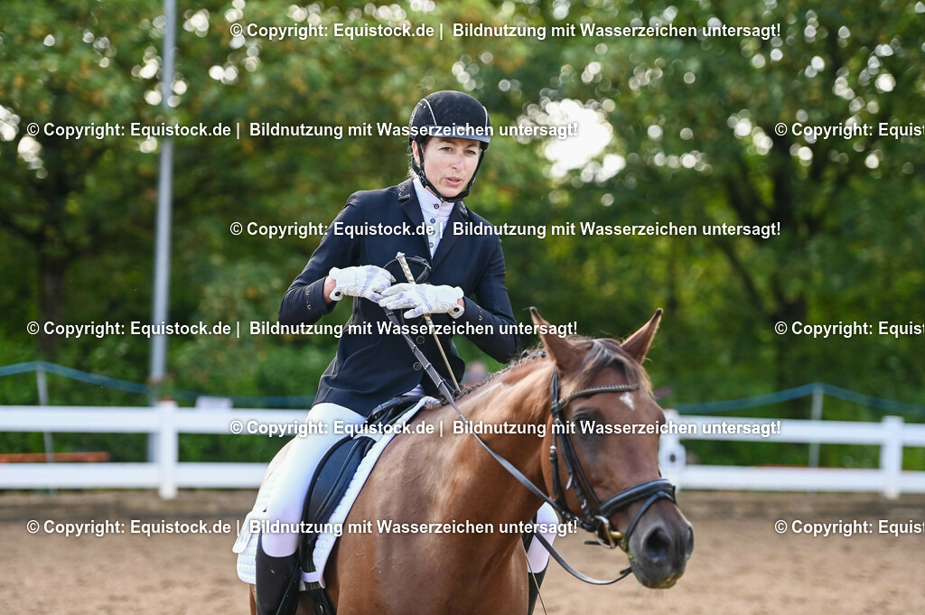 20230716_04_Dressurreiterprüfung Kl.A_0194 | equistock