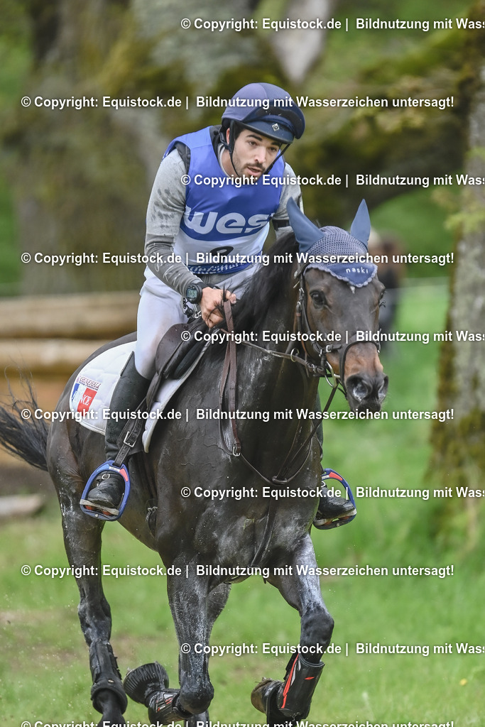 20230513_CCI4_Gelände_0123 | equistock