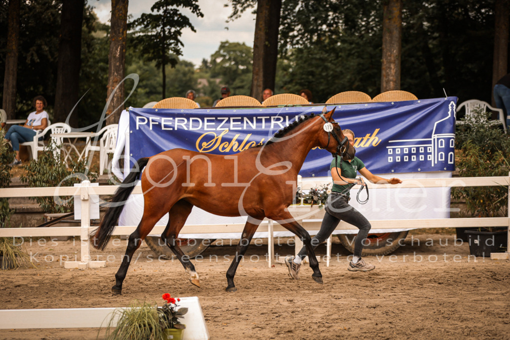 08.So00006 | Leoni Ertmer Photography - Realisiert mit Pictrs.com