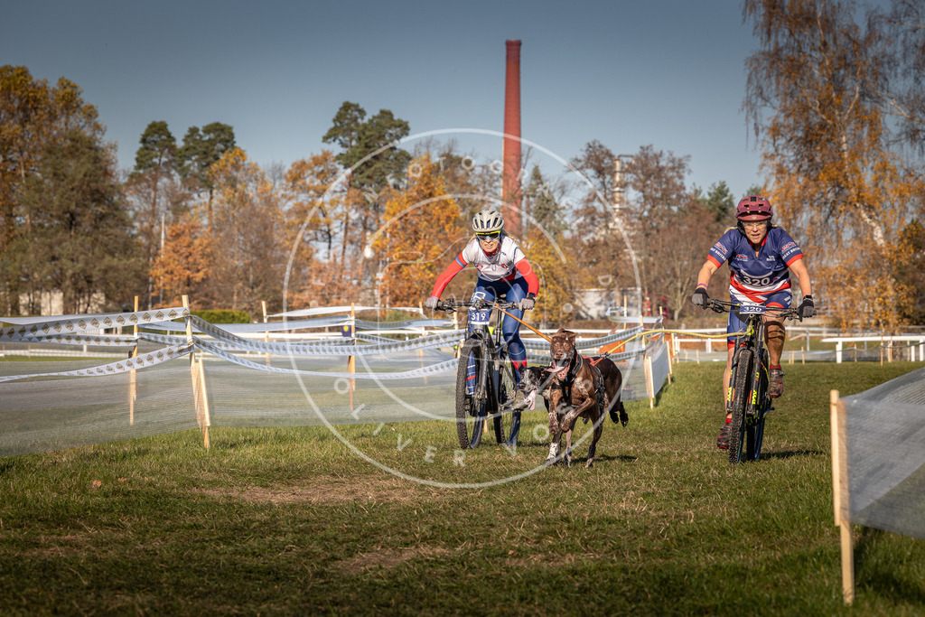 CaniXpix_0L8A5664 | Hundefotografie, Tierfotograf, Pfotenfotografie, Fotoshooting Hund, Hunde Portrait, Hundesport, Hundeportraits, Heideshooting, Hunde, Sportfotograf, Hundefotograf, Turnierhundsport, THS,  - Realisiert mit Pictrs.com