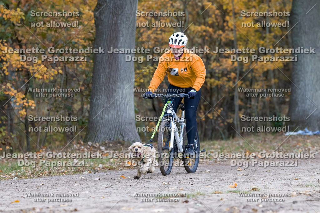 Dog Paparazzi - SD CaniX Championship 2025-597 | Dog Paparazzi Jeanette Grottendiek Fotografie & Videografie - Realisiert mit Pictrs.com