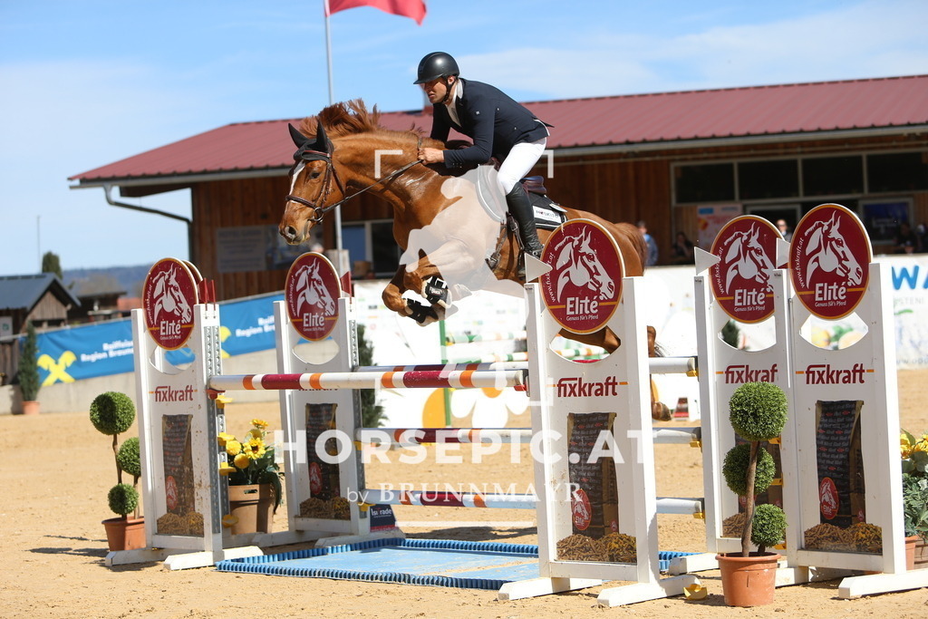 DL2Q5179 | Willkommen bei Brunnmayr - Design & Fotografie – Ihrem Spezialisten für Reitturniere und Pferdeveranstaltungen in Oberösterreich, Salzburg und Bayern! Seit über 17 Jahren sind wir leidenschaftlich dabei.