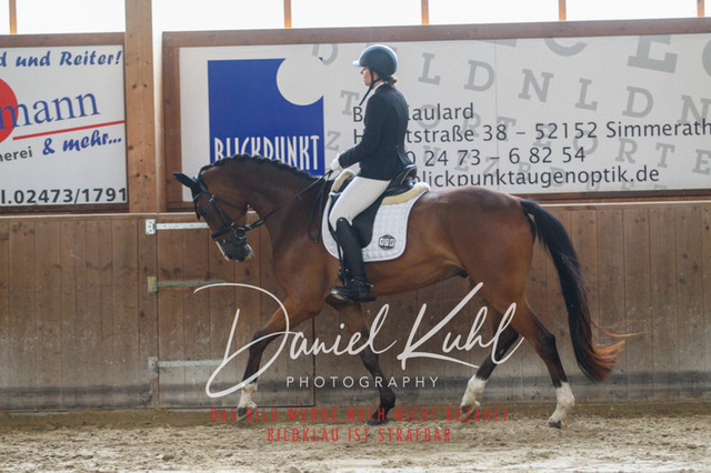 DKP44233 | Turniersportfotografie; Pferdefotografie; Dressurfotografie