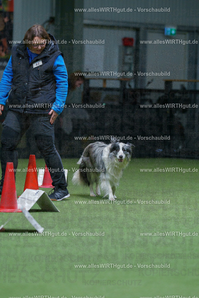 7R506276 | Professionelle Tierfotografie in Mönchengladbach von Daniel Wirth (allesWIRTHgut). Liebevolle & natürliche Bilder von Hunden & Katzen für unvergessliche Erinnerungen.