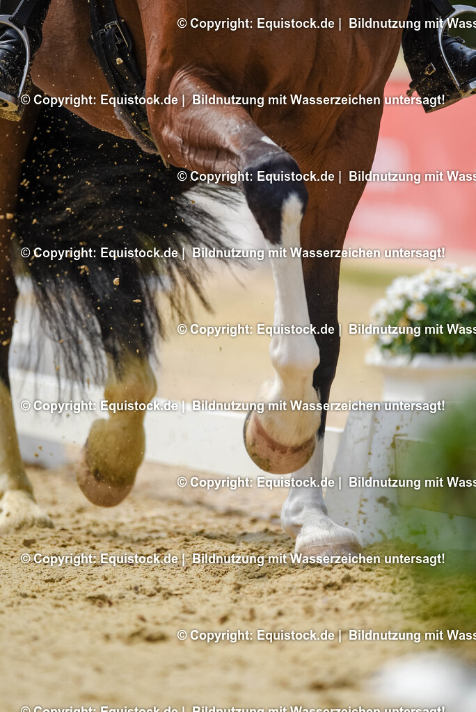 20250607_1_GP-Tour_Dressage_0162 | Foto: Thomas Hartig