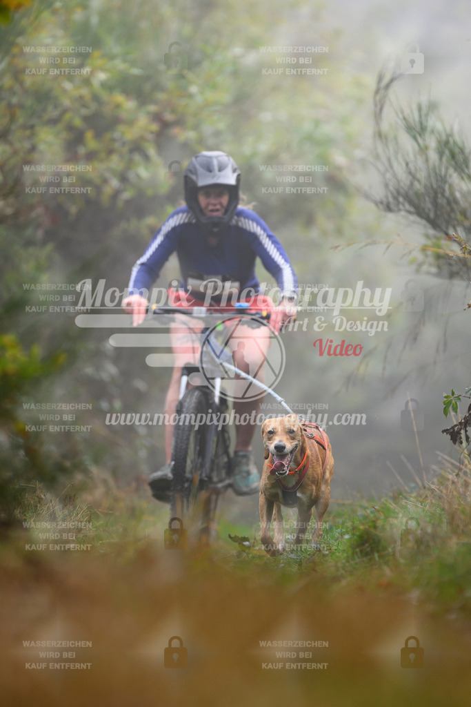 MompixPhotography_20TSB_E4_Bike-153 | PayLife