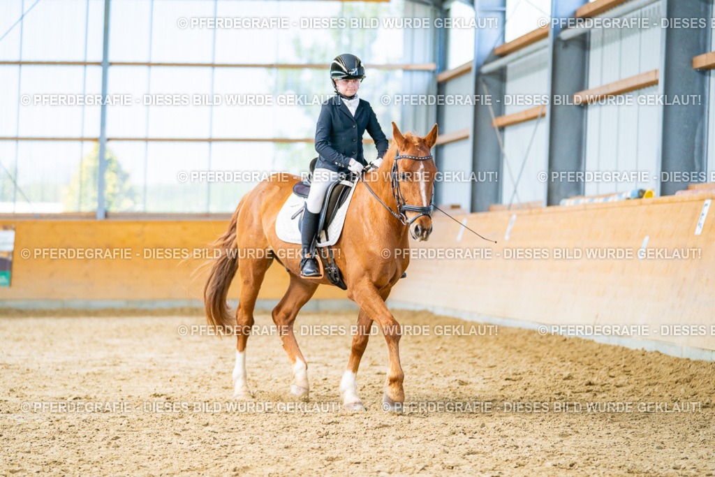 DSC08312 | Pferdegrafie