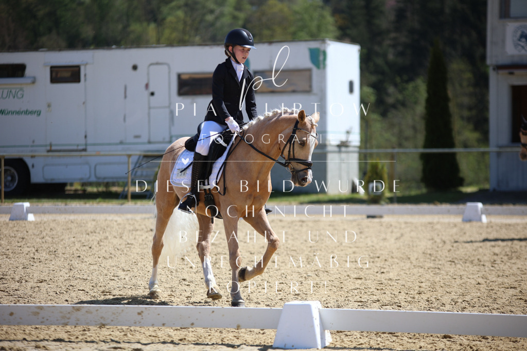 IMGT2347 | pl-fotografie