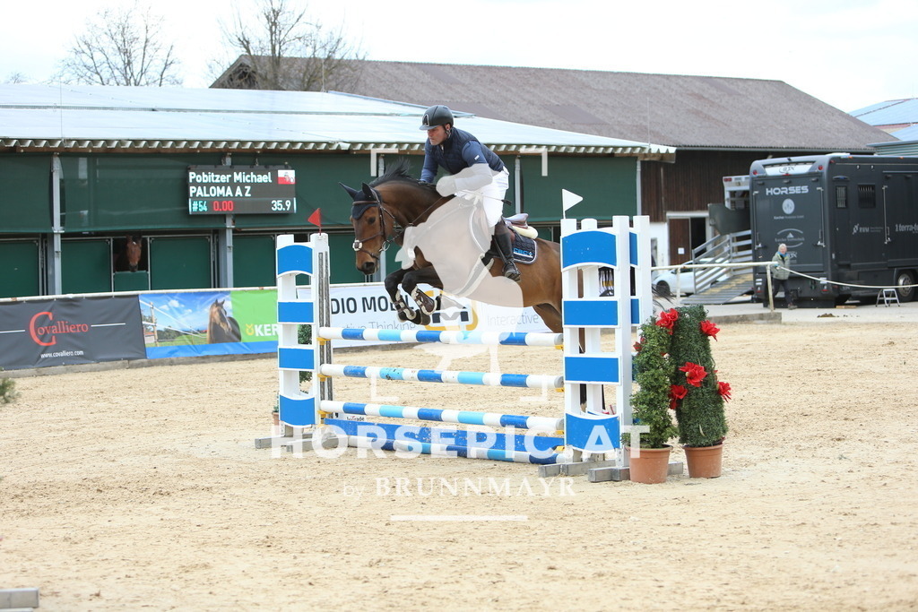 DL2Q9445 | Willkommen bei Brunnmayr - Design & Fotografie – Ihrem Spezialisten für Reitturniere und Pferdeveranstaltungen in Oberösterreich, Salzburg und Bayern! Seit über 17 Jahren sind wir leidenschaftlich dabei.