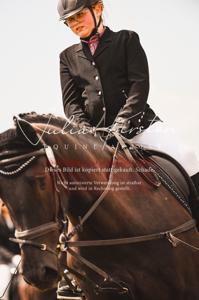 DSC_6193 | Pferde- und Turnierfotografie in Westsachsen. Pferdeportraits, Auftragszeichnungen und intuitive Kunst.