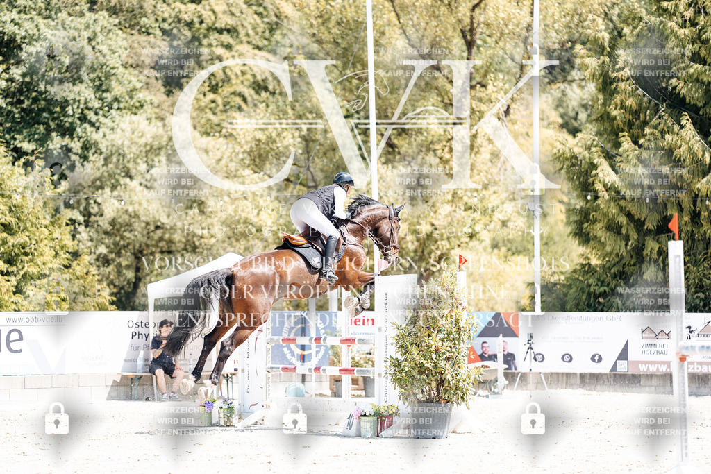 CK900499 | Turnierfotografie Pferdefotografie Trier Rheinland-Pfalz Pferdesport Reitsport Tierfotografie Sportfotografie Pferdevideo Pferdevideografie Equestrianvideography equestrianphotography  - Realisiert mit Pictrs.com