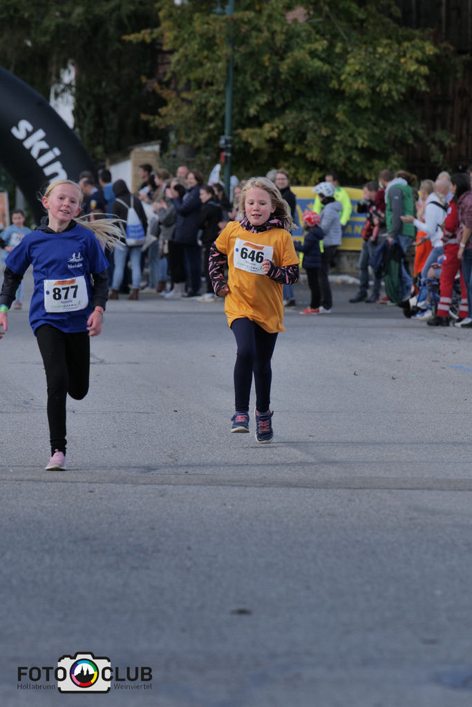 P1039263 | Foto Buchgraber