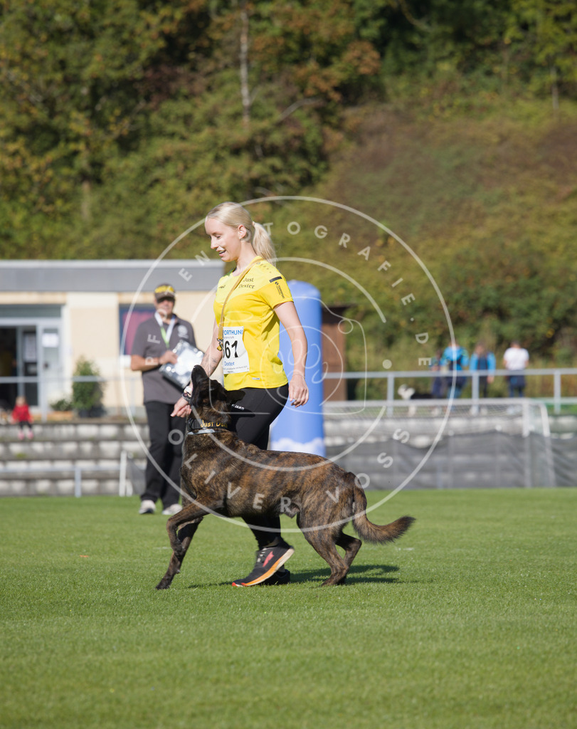 0L8A2302 | Hundefotografie, Tierfotograf, Pfotenfotografie, Fotoshooting Hund, Hunde Portrait, Hundesport, Hundeportraits, Heideshooting, Hunde, Sportfotograf, Hundefotograf, Turnierhundsport, THS,  - Realisiert mit Pictrs.com