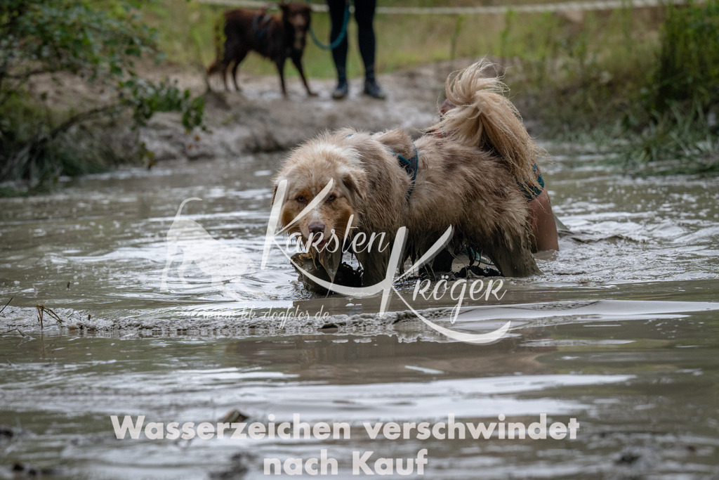 1326_ZZ94211 | kk-dogfotos