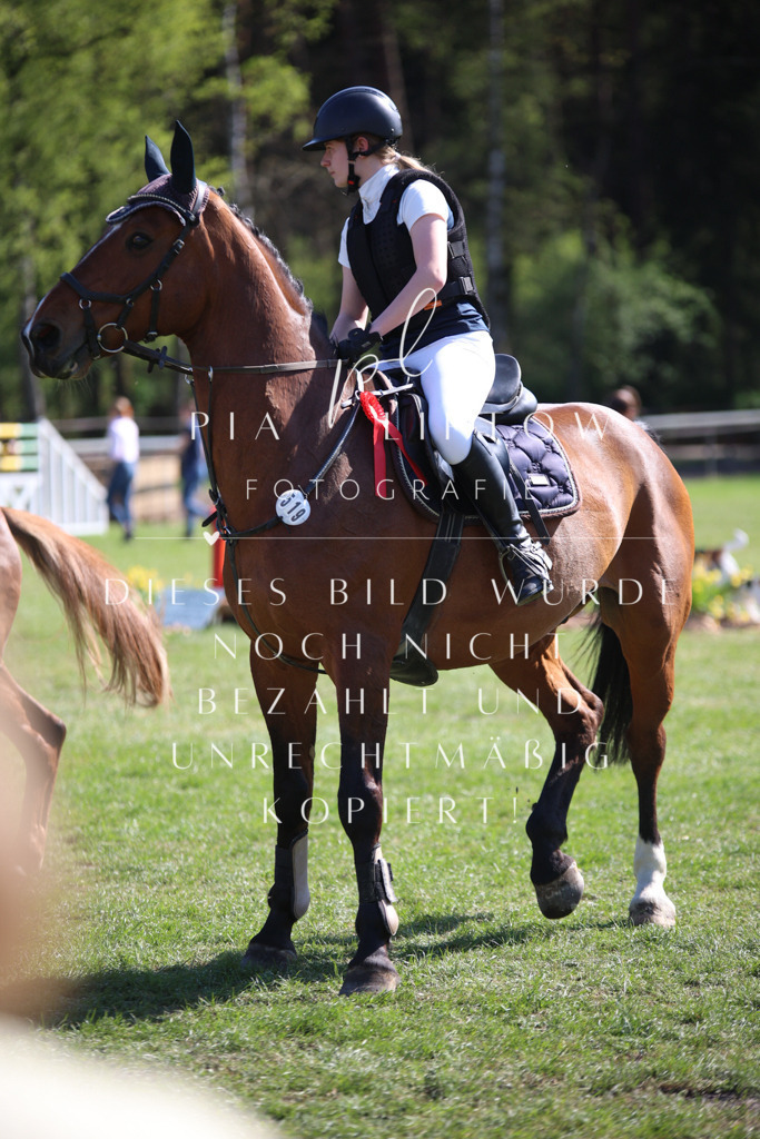 IMGT9009 | pl-fotografie