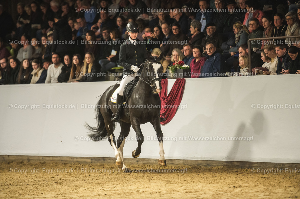 20240302_Hengstvorstellung_Marbach_TOMsPiC_0684 | equistock
