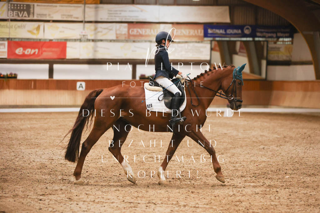 IMGM7651 | pl-fotografie