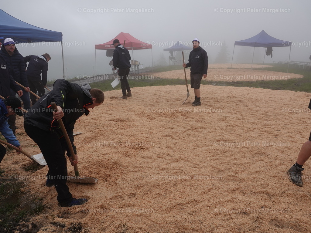 DSC07878 | Schwingen - Realisiert mit Pictrs.com