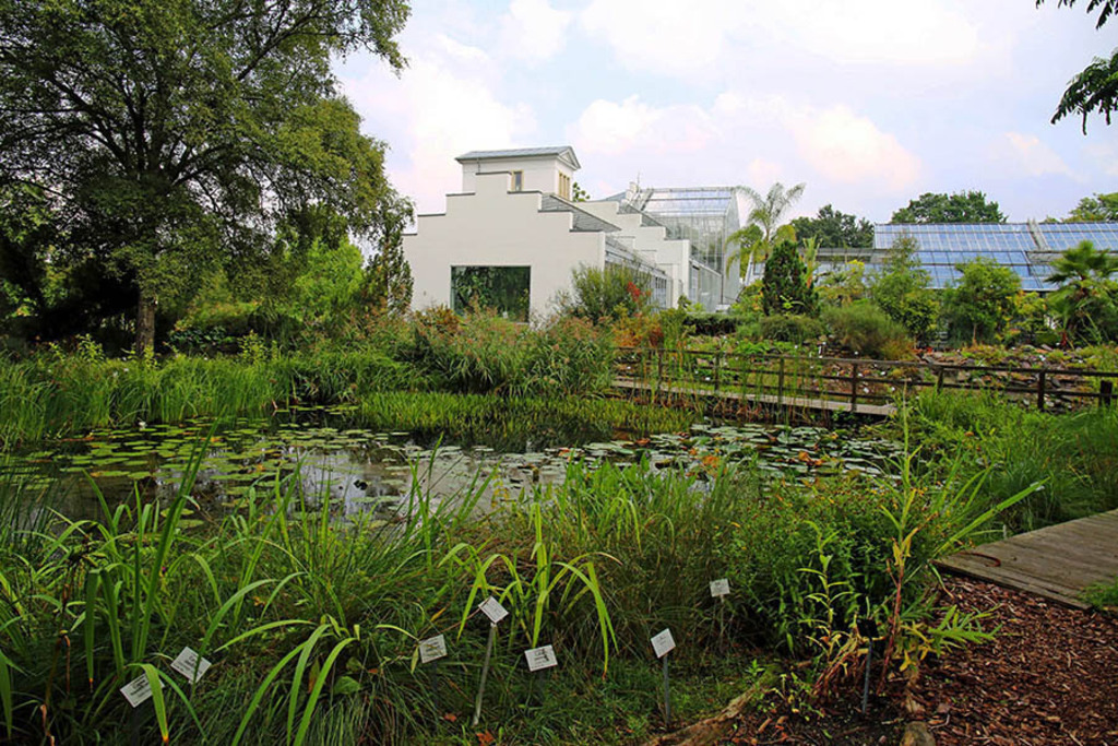 Bildlexikon Leipzig - Botanischer Garten der Universität Leipzig | Das Team hinter BILDLEXIKON LEIPZIG bündelt historische wie aktuelle Informationen über die Stadt Leipzig in Text und Bild auf einer Plattform und stellt diese der interessierten Öffentlichkeit zur Verfügung.