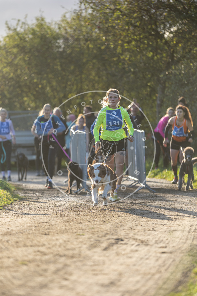 Pfotenfotografie.de_DV3A2872 | Hundefotografie, Tierfotograf, Pfotenfotografie, Fotoshooting Hund, Hunde Portrait, Hundesport, Hundeportraits, Heideshooting, Hunde, Sportfotograf, Hundefotograf, Turnierhundsport, THS, canicross - Realisiert mit Pictrs.com