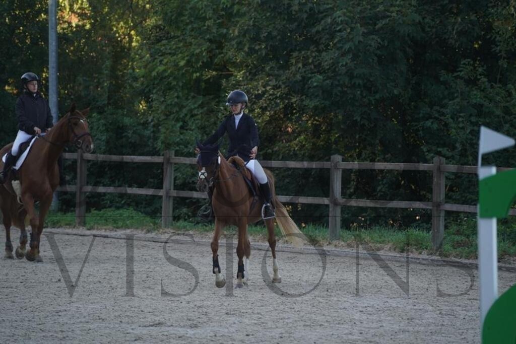 tgbhsonntag (29) | d.tail Visions - Shop - Realisiert mit Pictrs.com