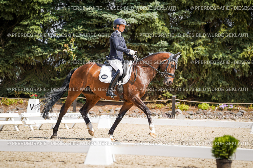 DSC01343 | Pferdegrafie