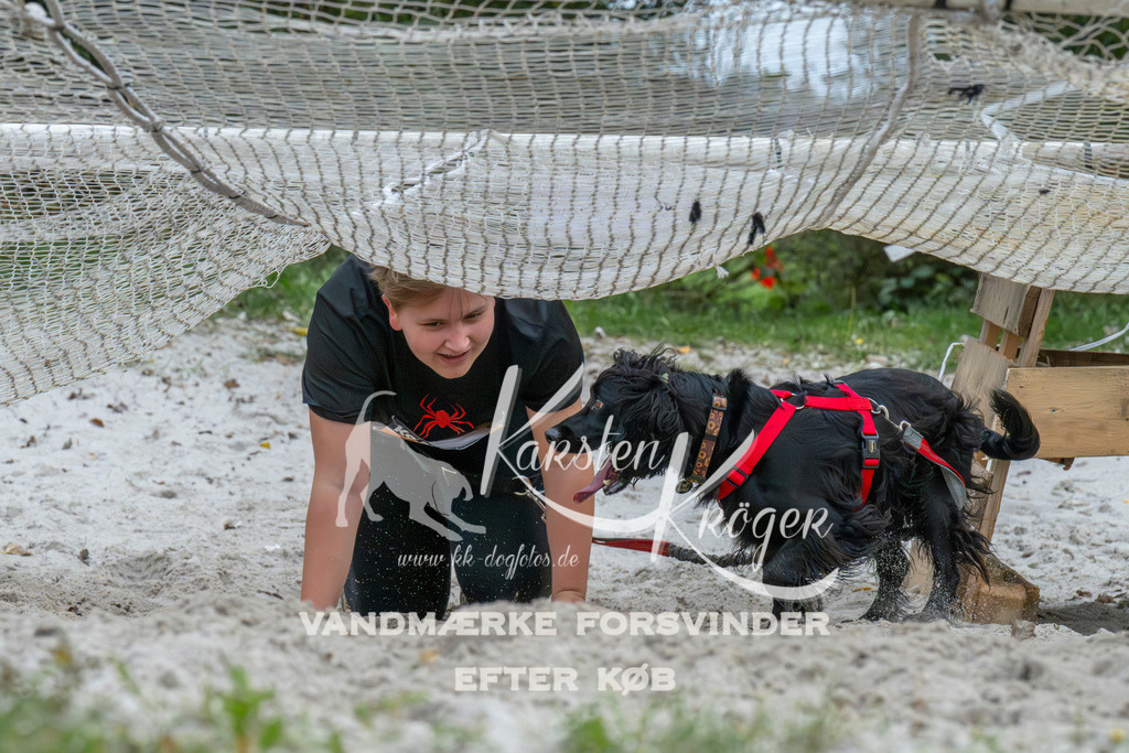 1037_ZZ94684 | kk-dogfotos